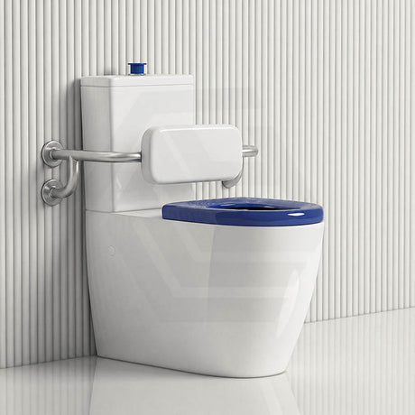 Asta Special Care Rimless Disabled Toilet Suite Back To Wall Single Flap Care Seat 810x355x880mm
