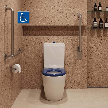 Asta Special Care Rimless Disabled Toilet Suite Back To Wall Single Flap Care Seat 810x355x880mm
