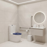 Asta Special Care Rimless Disabled Toilet Suite Back To Wall Single Flap Care Seat 810x355x880mm