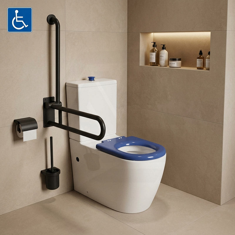 Asta Special Care Rimless Disabled Toilet Suite Back To Wall Single Flap Care Seat 810x355x880mm