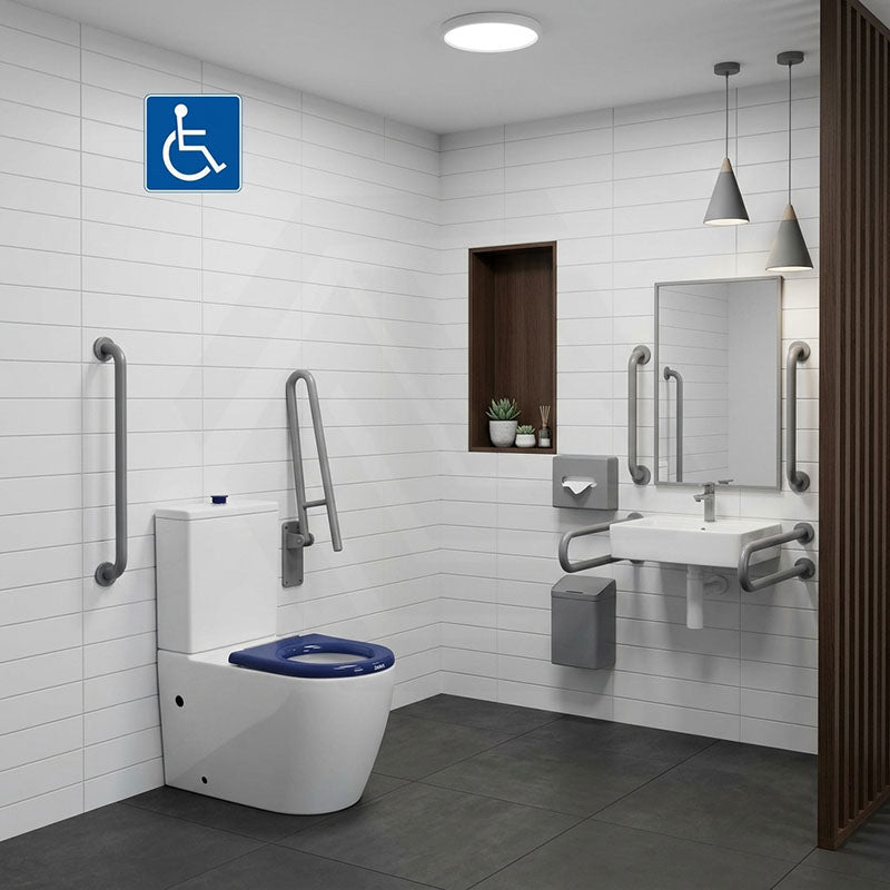 Asta Special Care Rimless Disabled Toilet Suite Back To Wall Single Flap Care Seat 810x355x880mm