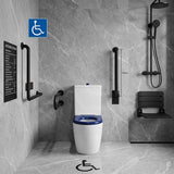 Asta Special Care Rimless Disabled Toilet Suite Back To Wall Single Flap Care Seat 810x355x880mm