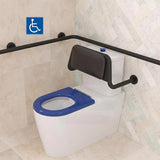 Asta Special Care Rimless Disabled Toilet Suite Back To Wall Single Flap Care Seat 810x355x880mm