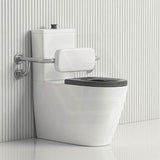 Asta Special Care Rimless Disabled Toilet Suite Back To Wall Single Flap Care Seat 810x355x880mm