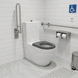 Asta Special Care Rimless Disabled Toilet Suite Back To Wall Single Flap Care Seat 810x355x880mm