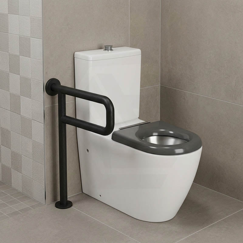 Asta Special Care Rimless Disabled Toilet Suite Back To Wall Single Flap Care Seat 810x355x880mm