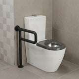 Asta Special Care Rimless Disabled Toilet Suite Back To Wall Single Flap Care Seat 810x355x880mm