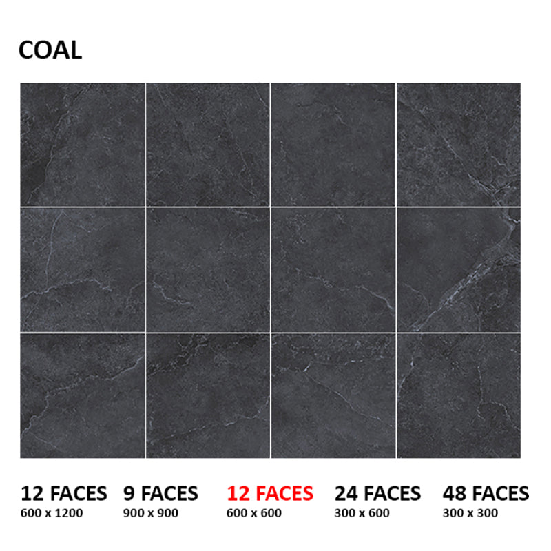 Enzo Coal Surface Tec Stone Look Dark Grey 300/600/1200mm Tile