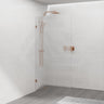 900/1000/1200X2000Mm Frameless Curved Corner Shower Screen Single Door Fixed Panel 10Mm Glass 