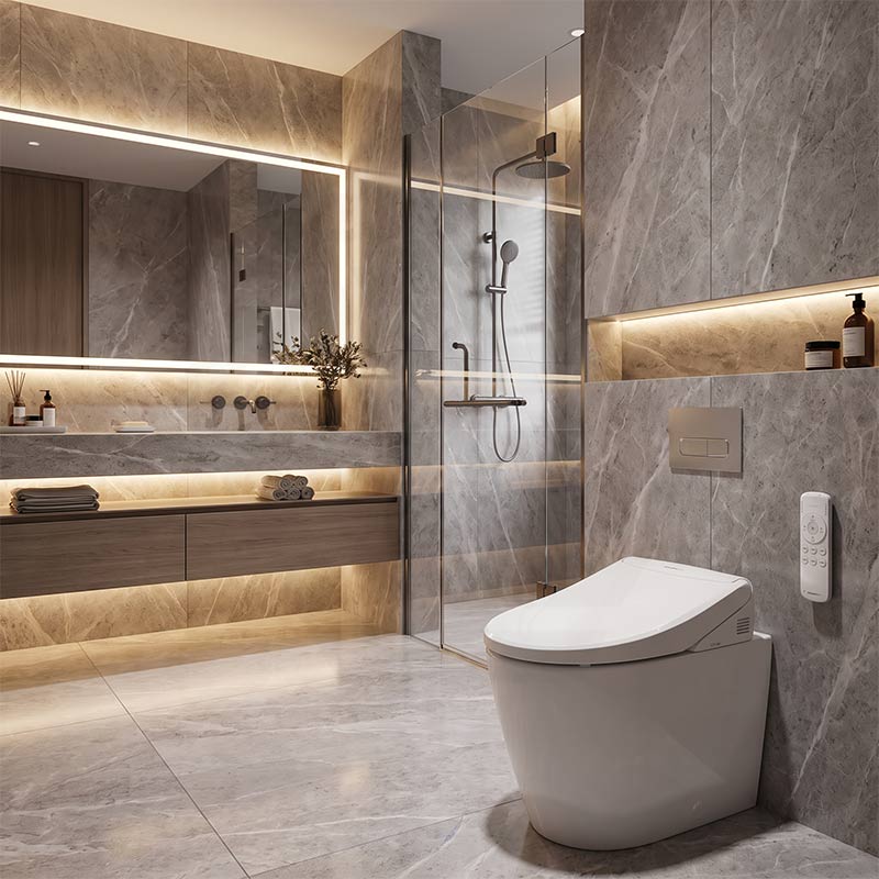 DAELIMBATH Ultra Slim Electronic Smart Bidet Toilet Seat with Remote Control Round / Elongated / D Shape Seats Available - Gloss White