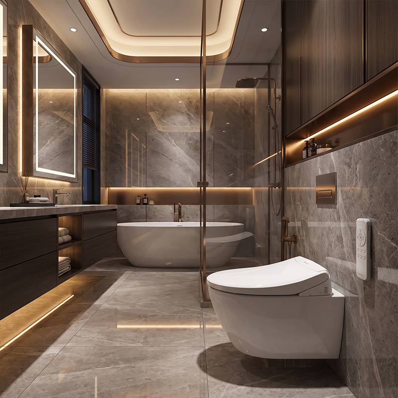 DAELIMBATH Ultra Slim Electronic Smart Bidet Toilet Seat with Remote Control Round / Elongated / D Shape Seats Available - Gloss White