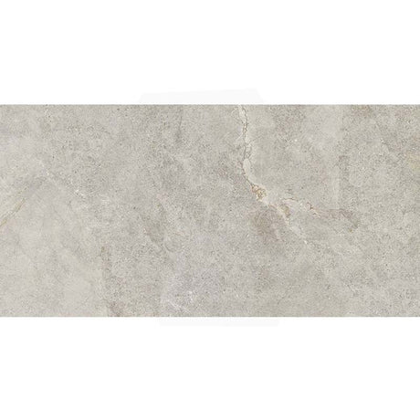 Anthology Ash Matt Stone Look 300/600/1200mm Tile