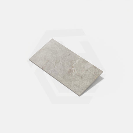 Anthology Ash External Stone Look 300/600mm Tile