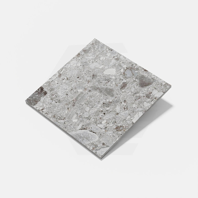 Ceppo Stone Medium Terrazzo Look External Paver 600x600x20mm