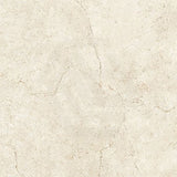 Crema Marfil Ivory Marble Look Matt Beige 300/600/1200mm Tile