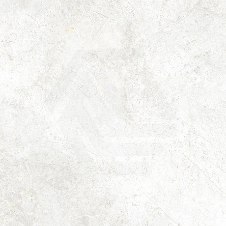 Cosmic Chalk Stone Look Matt Light Grey 300/600/1200mm Tile
