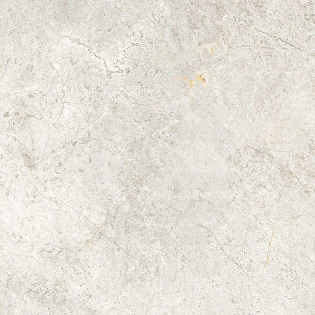 Cosmic Pearl Stone Look Matt Light Grey 300/600/1200mm Tile