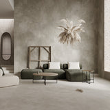 Cosmic Silver Stone Look Matt 300/600/1200mm Tile