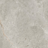 Cosmic Silver Stone Look Matt Medium Grey 300/600/1200mm Tile