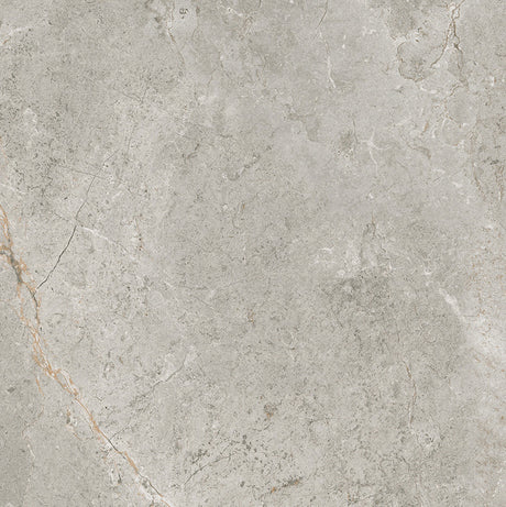 Cosmic Silver Stone Look Matt Medium Grey 300/600/1200mm Tile