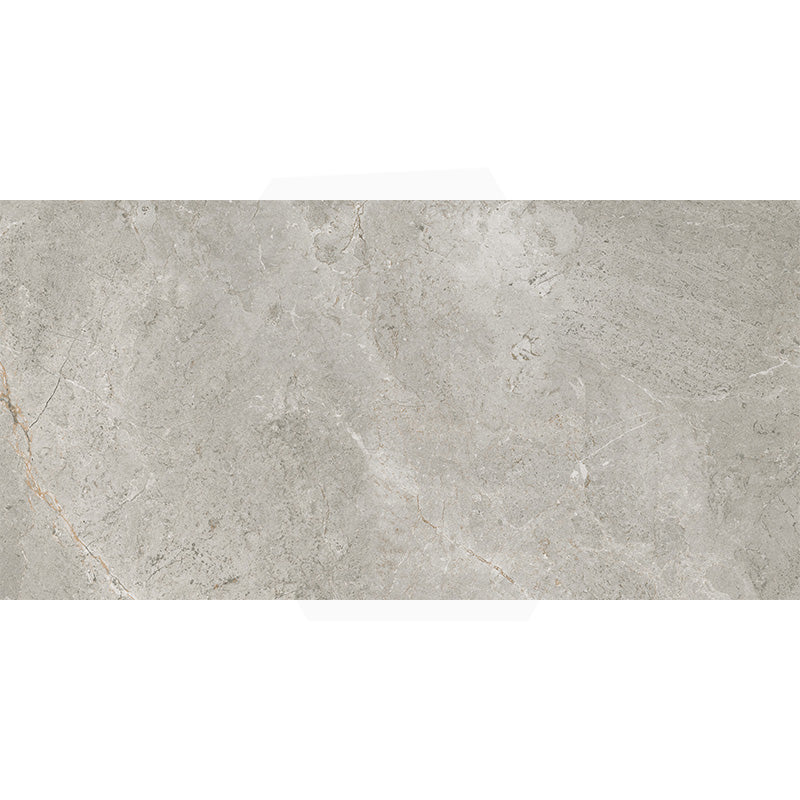 Cosmic Silver Stone Look Matt Medium Grey 300/600/1200mm Tile