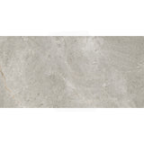 Cosmic Silver Stone Look Matt Medium Grey 300/600/1200mm Tile