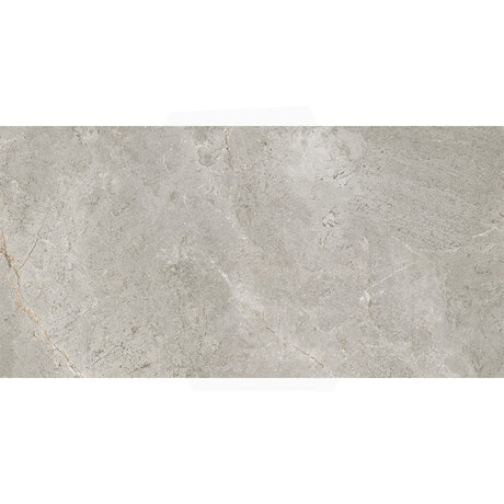 Cosmic Silver Stone Look Matt Medium Grey 300/600/1200mm Tile