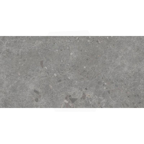 Dawn Coal Terrazzo Look Matt Medium Grey 300/600mm Tile