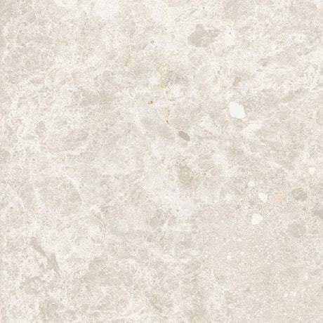Dawn Ivory Terrazzo Look Matt Beige 300/600/1200mm Tile