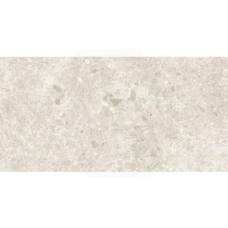 Dawn Ivory Terrazzo Look Matt Beige 300/600/1200mm Tile