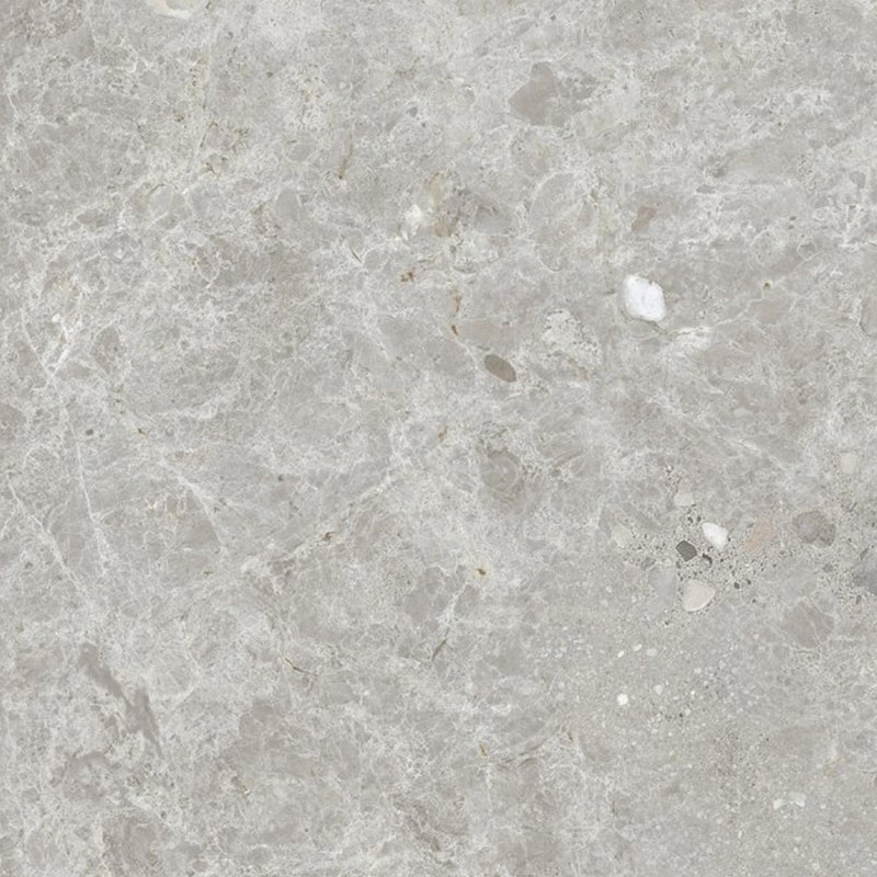 Dawn Silver Terrazzo Look Light Grey Matt 300/600/1200mm Tile