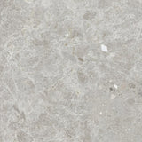 Dawn Silver Terrazzo Look Light Grey Matt 300/600/1200mm Tile