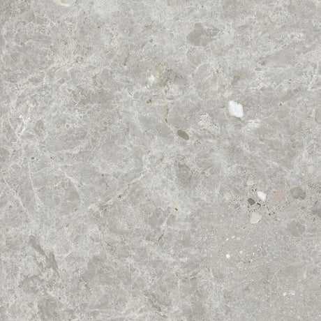 Dawn Silver Terrazzo Look Light Grey Matt 300/600/1200mm Tile