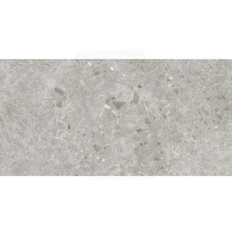 Dawn Silver Terrazzo Look Light Grey Matt 300/600/1200mm Tile