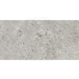 Dawn Silver Terrazzo Look Light Grey Matt 300/600/1200mm Tile
