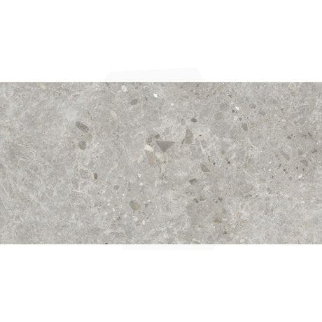 Dawn Silver Terrazzo Look Light Grey Matt 300/600/1200mm Tile