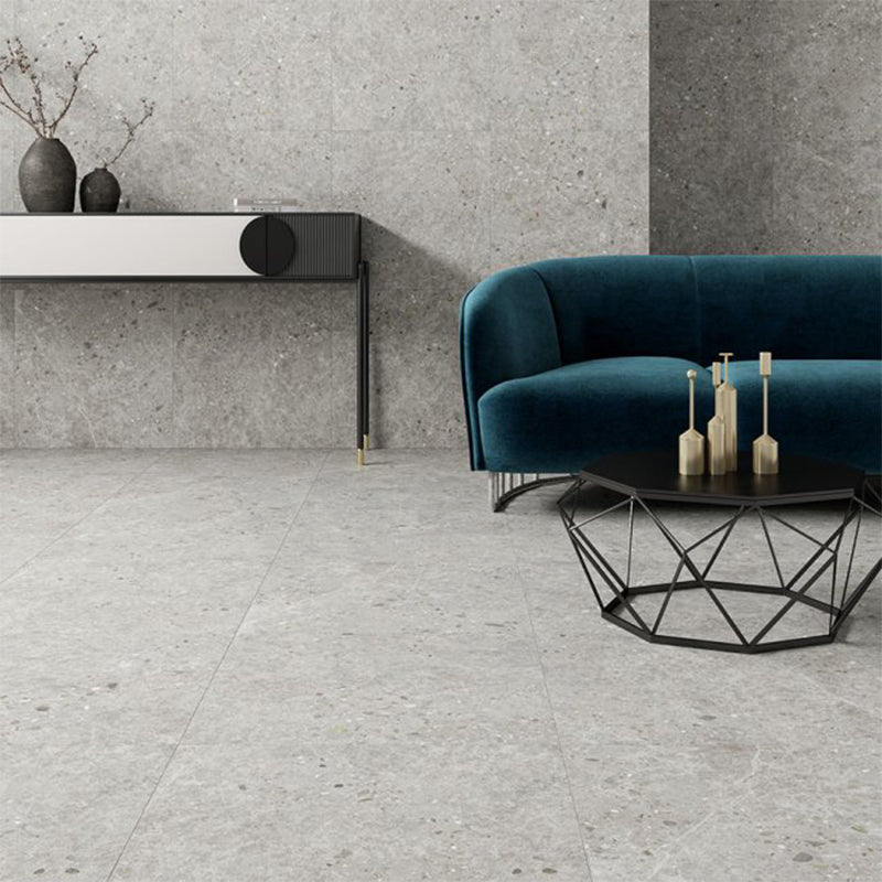Dawn Silver Terrazzo Look Light Grey Matt 300/600/1200mm Tile