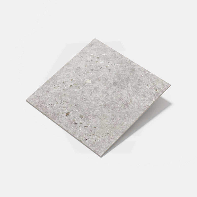 Dawn Silver Terrazzo Look Matt 300/600/1200mm Tile