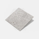 Dawn Silver Terrazzo Look Matt 300/600/1200mm Tile