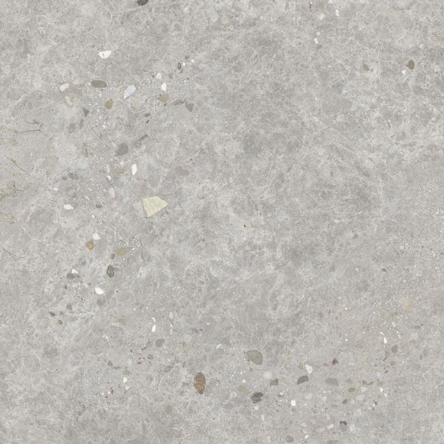 Dawn Silver Terrazzo Look Light Grey Matt 300/600/1200mm Tile