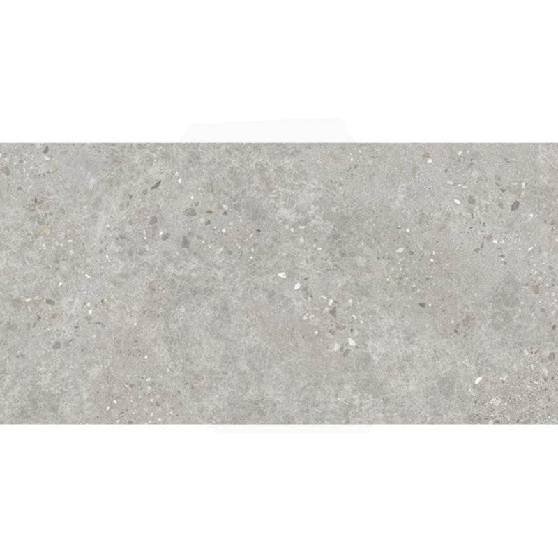 Dawn Silver Terrazzo Look Light Grey Matt 300/600/1200mm Tile