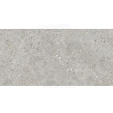 Dawn Silver Terrazzo Look Light Grey Matt 300/600/1200mm Tile