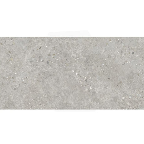 Dawn Silver Terrazzo Look Light Grey Matt 300/600/1200mm Tile