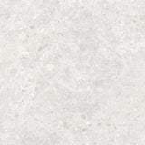 Dawn White Matt Terrazzo Look 300/600/1200mm Tile