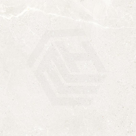 Monza Cloud External Paver Marble Look 600x600x20mm