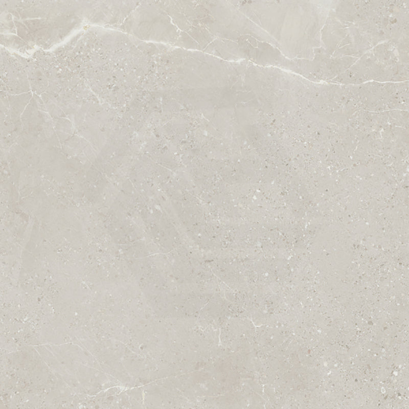 Monza Sola SurfaceTec Light Grey Marble Look 300/600/1200mm Tile