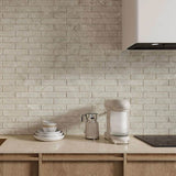Matera Terra Matt Porcelain Subway Tile 60x250mm