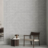 Palermo Mist Matt Subway Tumbled Edge 60x250mm Feature Tile