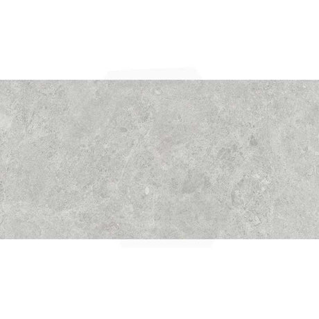 Palermo Mist Matt Stone Look 300/600/1200mm Tile