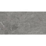 Rhythm Silver Matt Medium Grey Stone Look 300/600/1200mm Tile